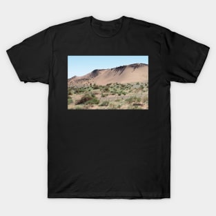 Southern Gobi Desert Mongolia T-Shirt